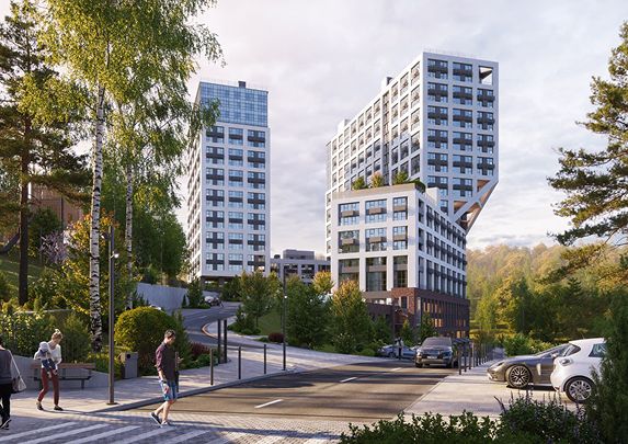 Живописное окружение